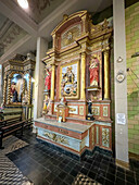 Der Altar der Jungfrau vom Berge Karmel in der Kathedrale Unsere Liebe Frau von Loreto, Mendoza, Argentinien.