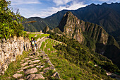 Tourists exploring Machu Picchu Inca Ruins, Cusco Region, Peru