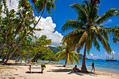 Öffentlicher Strand Opunohu Beach und Ta'ahiamanu Beach in Moorea, Cook's Capitan Bay, Französisch-Polynesien, Gesellschaftsinseln, Südpazifik.