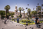 Tauben auf der Plaza de Armas, Arequipa, Peru