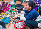 Kambodschanische Frau verkauft Schlangen auf einem Markt in Siem Reap, Kambodscha