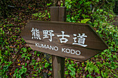 Kumano Kodo Pilgerweg um das Dorf Takahara. UNESCO-Welterbestätte. Nakahechi. Präfektur Wakayama. Halbinsel Kii. Region Kansai. Insel Honshü . Japan
