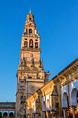 The Mosque (Mezquita) and Cathedral of Cordoba and Surrounding Gallery, UNESCO World Heritage Site, Cordoba, Andalusia, Spain, Europe