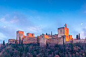 The Alhambra, UNESCO World Heritage Site, Granada, Andalusia, Spain, Europe