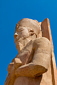 Statue at Luxor Temple, Luxor, Thebes, UNESCO World Heritage Site, Egypt, North Africa, Africa