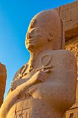 Statue im Karnak-Tempel, Luxor, Theben, UNESCO-Welterbe, Ägypten, Nordafrika, Afrika
