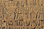 Stone Carvings and Hieroglyphs at Karnak Temple, Luxor, Thebes, UNESCO World Heritage Site, Egypt, North Africa, Africa