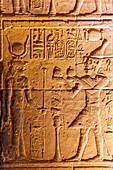 Steinmetzarbeiten und Hieroglyphen im Heiligtum des Isis-Tempels, Philae-Tempelkomplex, UNESCO-Welterbe, Insel Agilkia, Assuan, Ägypten, Nordafrika, Afrika