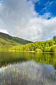 Loch Chon, Loch Lomond and The Trossachs National Park, Schottisches Hochland, Schottland, Vereinigtes Königreich, Europa