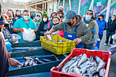 People buying fresh fish at market, Caleta Portales, Valparaiso, Valparaiso Province, Valparaiso Region, Chile, South America