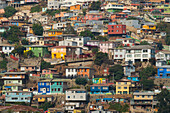 Bunte Häuser, Valparaíso, Provinz Valparaíso, Region Valparaíso, Chile, Südamerika