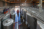 Gärtanks, Weinkellerei El Principal, Pirque, Maipo-Tal, Provinz Cordillera, Region Santiago Metropolitana, Chile, Südamerika
