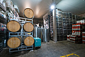 Wine cellar with barrels and crates with grapes, El Principal winery, Pirque, Maipo Valley, Cordillera Province, Santiago Metropolitan Region, Chile, South America
