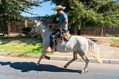 Huaso reitet an einem sonnigen Tag auf der Straße, Colina, Provinz Chacabuco, Region Santiago Metropolitana, Chile, Südamerika