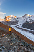 Wanderer steht auf einem Felsen und bewundert das Monte Rosa Massiv, den Gornergletscher und den Lyskamm bei Sonnenuntergang, Riffealp, Zermatt, Kanton Wallis, Schweizer Alpen, Schweiz, Europa