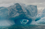 Eisberge, Pleneau Insel, Antarktis, Polargebiete