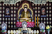 Phat Quang Buddhist Temple, Siddhartha Gautama (the Shakyamuni Buddha) Chau Doc, Vietnam, Indochina, Southeast Asia, Asia