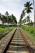 Leere Eisenbahnstrecke und Palmen