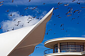 Vogelschwarm fliegt über den De La Warr Pavilion