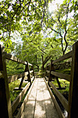 Holzbrücke über einen Bach in einem bewaldeten Tal