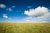 Grasbewachsenes Feld auf einem Hügel mit blauem Himmel und Wolken