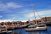 Boote am Victoria-Hafen festgemacht