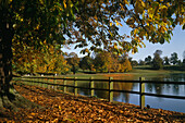 Lake And Autumnal Trees In Studley Park