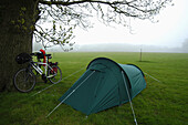 Bicycle Leaning On A Tree And Tent