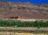 Kasbah Of Timiderte In Draa Valley