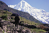 Nomade mit Regenschirm wandert durch die Berge