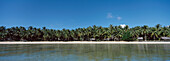 Strand mit Palmen, Panoramablick