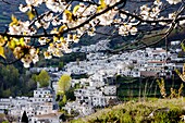 Trevelez In Sierra Nevada Mountains