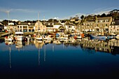 Padstow Marina Reflecting In Water