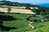 Landschaft auf der Isle of Wight