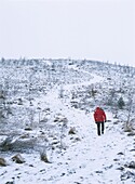 Mann geht im Schnee bergauf, Rückansicht