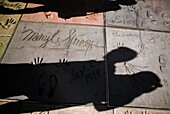 Shadows On Handprints Of Movie Stars Outside Mann's Chinese Theatre