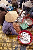 Menschen auf dem Fischmarkt von Hoi An, Blick von oben