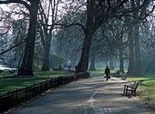 Early Morning In St. James's Park