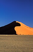 Sand Dune And Field