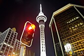 Sky Tower And Traffic Light In Downtown