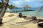 Hammock On Beach At Hotel Bora Bora