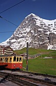 Zug auf der Jungfraujochbahn in der Nähe des Eigers