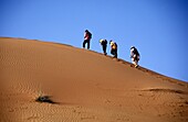 Vier Menschen wandern in der Wüste bei Al-Ain