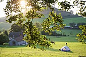 Afternoon Sun Over Green Cam Long Down Hill