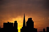 San Francisco Skyline With Transamerica Building