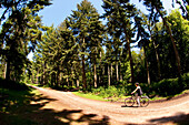 Radfahrer auf einem Radweg um Brockenhurst, New Forest National Park