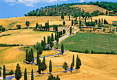 Winding Road Through Countryside