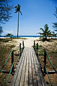Wooden Boardwalk To Beach On South China Sea