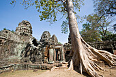 Prasat Ta Som Temple And Large Tree, Angkor,Siem Reap,Cambodia