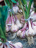Fresh Garlic For Sale In The Market,Aix-En-Provence,France.